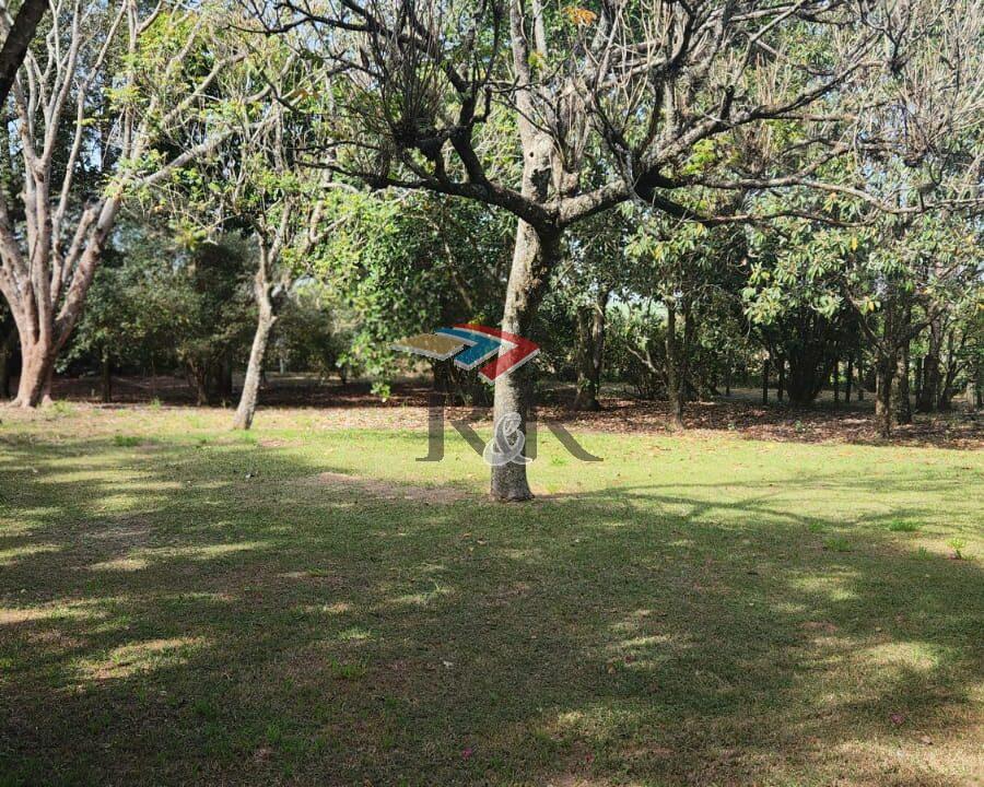 WhatsApp Image 2024-08-13 at 11.22.38