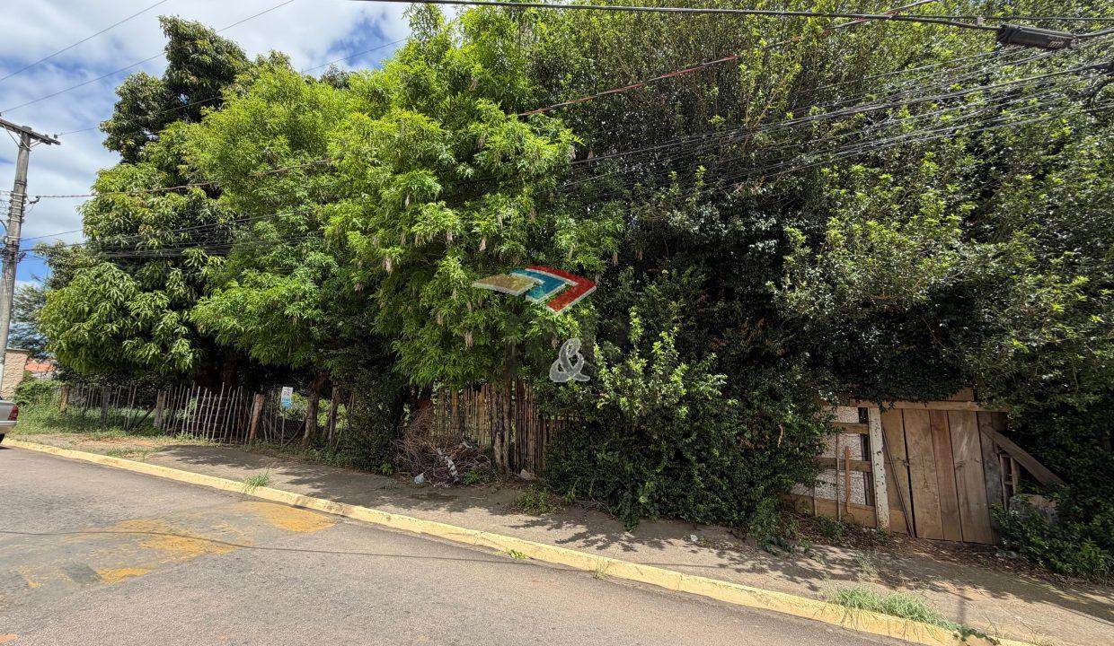 WhatsApp Image 2026-01-20 at 14.08.29